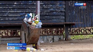 Березовая пойма тонет в мусоре