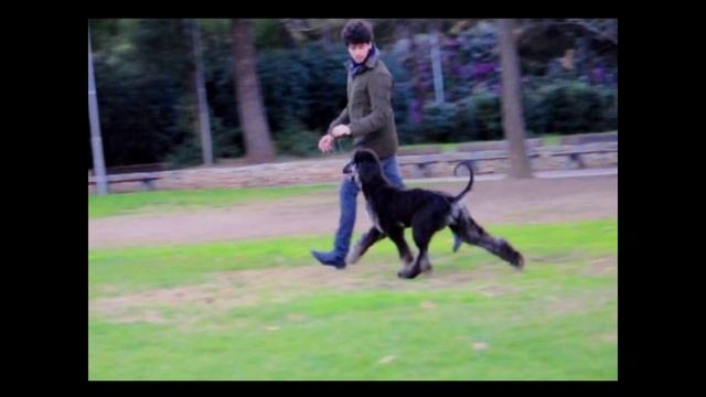 Xantudd's Break Your Heart (Xantudd's Bomb Locos Por Ti x Xantudd's Vikinga) aka EDEN смотреть онлайн