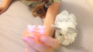 Как сплести из резинок брелок пёрышко