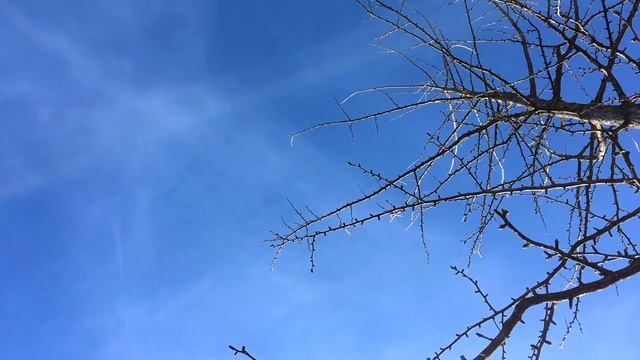 Один из самых красивых городов Швейцарии | Люцерн