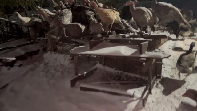 27-10-2023 смотреть онлайн