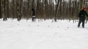 Как НЕ НАДО готовить собаку к выборке по запаху