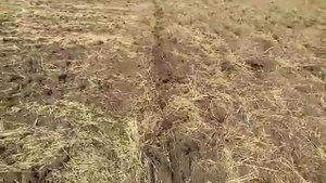 обзор результатов обработки стойкой Параплау