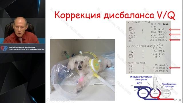 Вентиляционно-перфузионное разобщение и коррекция В.А.Мазурок смотреть онлайн