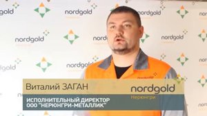 Золотодобывающая компания ООО "Нерюнгри-Металлик" (входит в Nordgold)