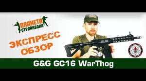 Обзор серии автоматов G&G GC16 Warthog (egc-war)