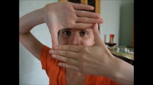 Телекомпания ВИД)