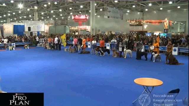 Евразия 2 Фристайл Награждение 2