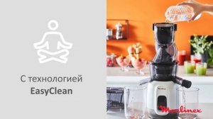 Соковыжималка шнековая Moulinex ZU600110