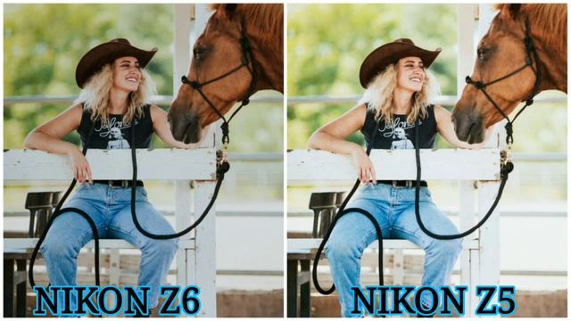 NIKON Z6 VS NIKON Z5 CAMERA TEST смотреть онлайн