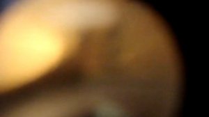 Как выглядит нитрид титана на корпусе часов и отличие от натуральной позолоты.