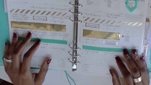 MY 2016 PLANNER SETUP | Filofax Domino | Erin Condren