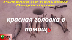 Рыбалка на Кольском Полуострове. В очередной раз эти мормышки себя оправдали.