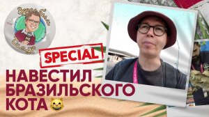 Поиски того самого кота и кошачья тренировка сборной Бразилии. «Здесь был Тимур» Специальный выпуск