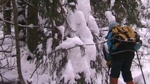 Путешествие в зимнюю тайгу