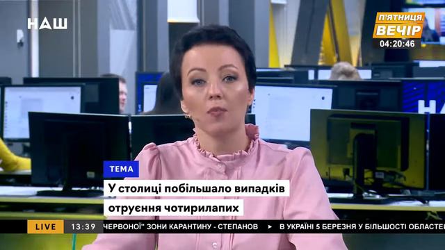 Зоопсихолог Сергей Клочко о своей работе, опасностях для животных во время прогулки. НАШ 05.03.2021