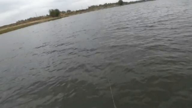 MEGABASS Kanata 160F.Если Каната в ударе,надо пользоваться моментом.Pike Fishing.