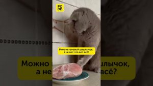 А можно шашлычок? #жизненно #рецепты #мемы #еда #кулинария #кухня