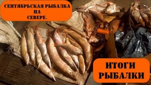 Сентябрьская рыбалка на севере. рыбалка на реке Иртыш . рыбалка в Демьянское. Итоги рыбалки