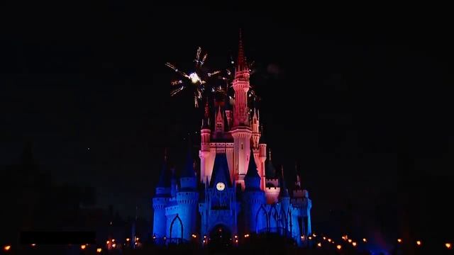 4 июля в Диснейленде , Флорида смотреть онлайн