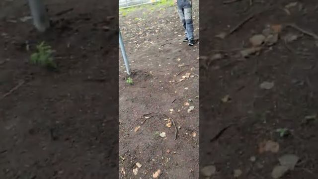 Узбек # vs# Русски смотреть онлайн