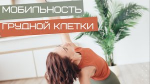 Мобильность грудного отдела позвоночника