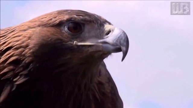 Музыка для души Микс 2 смотреть онлайн