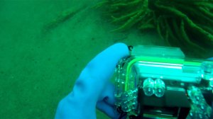 03-09-2011 - Diving на о.Ольхон