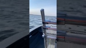 Моторная лодка Swimmer 370 волна 35,Воскресенское Саратовская область.