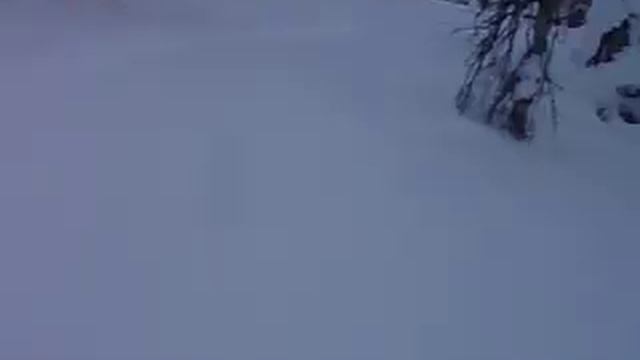 Фрирайд на кваркуше смотреть онлайн