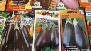 ЗНАКОМИМСЯ!!!  С  ЛУЧШИМИ И УРОЖАЙНЫМИ СОРТАМИ БАКЛАЖАН ДЛЯ ПОСАДКИ В 2023 ГОДУ...