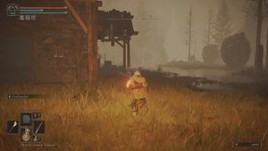 ELDEN RING Liurnia Ravine-Veiled Village Trina's Lily x2