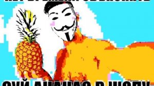 Нет времени объяснять суй ананас в жпу
