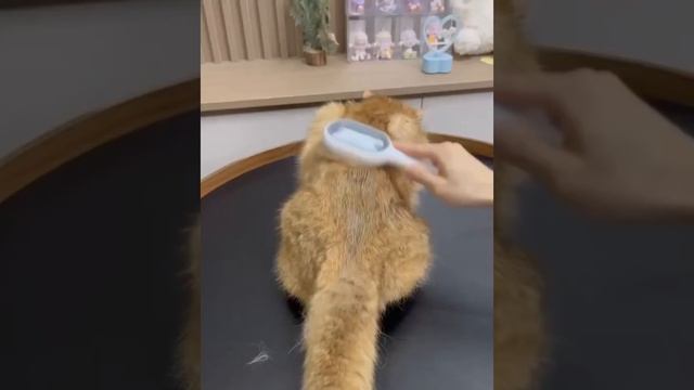 Щетка для сухого и влажного вычесывания собак и котов Pet Gravity 4в1 Pet Grooming Comb