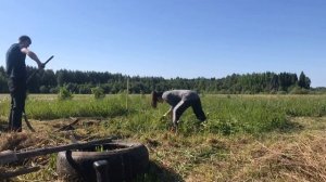 Покупка участка в поле | НАЧАЛО СЕЗОНА