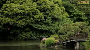 Достопримечательности Токио, Япония. Топ 10