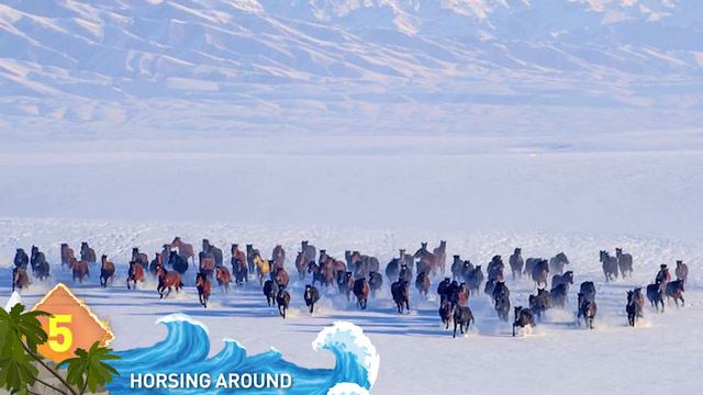 11 BIGGEST Creature Herds смотреть онлайн