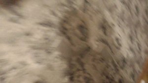 Экран для проектора DEXP WE 80