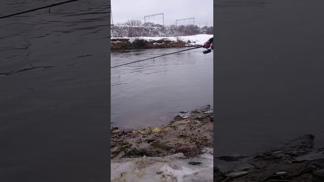 Как я рыбачу на реке Пехорка
