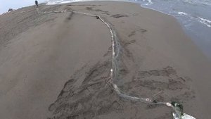 Ловим сибаса и другую рыбу с берега в Черногории. Рыбалка сетями.