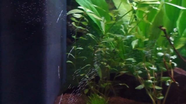 création d'un bac 240L..... смотреть онлайн