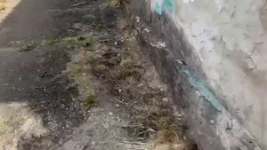 В Херсоне был нанес качественный удар по главному раввину Украины Моше Асману.