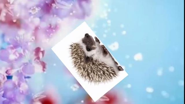 Хз чо эт такое но я старался =з смотреть онлайн