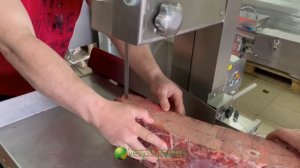 Ленточная пила Vega Msaw H 850 для распила (нарезки) замороженного мяса, рыбы и костей