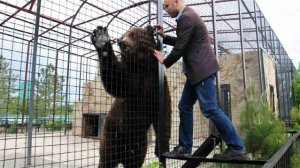 Человек ЦЕЛУЕТ ОГРОМНОГО МЕДВЕДЯ!