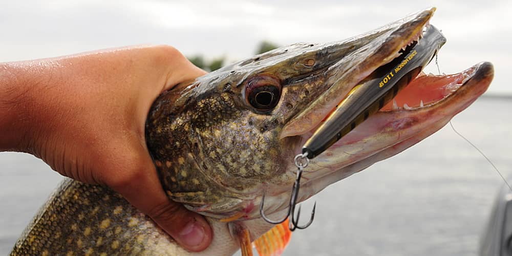 рыбалка на спиннингспиннингспиннинг (1).mp4 смотреть онлайн