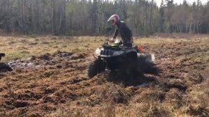 Arctic cat 700 efi