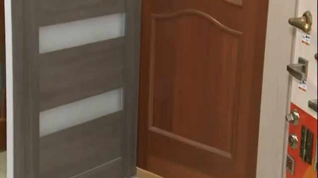 ОБЗОР  ДВЕРЕЙ. Межкомнатные двери. Стальные двери аргус.
