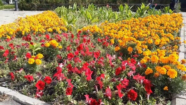 Мой город Омск?⛲Прогулка по красивым местам Омска??