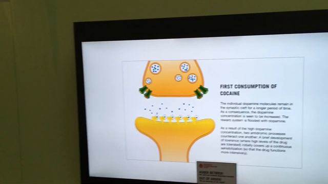 Музей гигиены Дрезден 03 смотреть онлайн